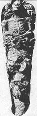 Мумия (Аменхотеп II)